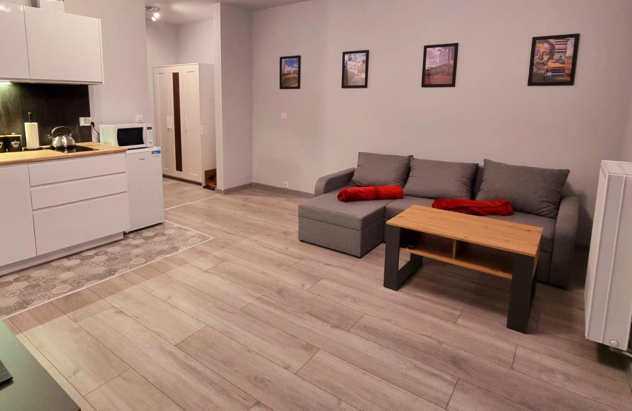 Apartament Kopernika 49 Łódź Kültér fotó